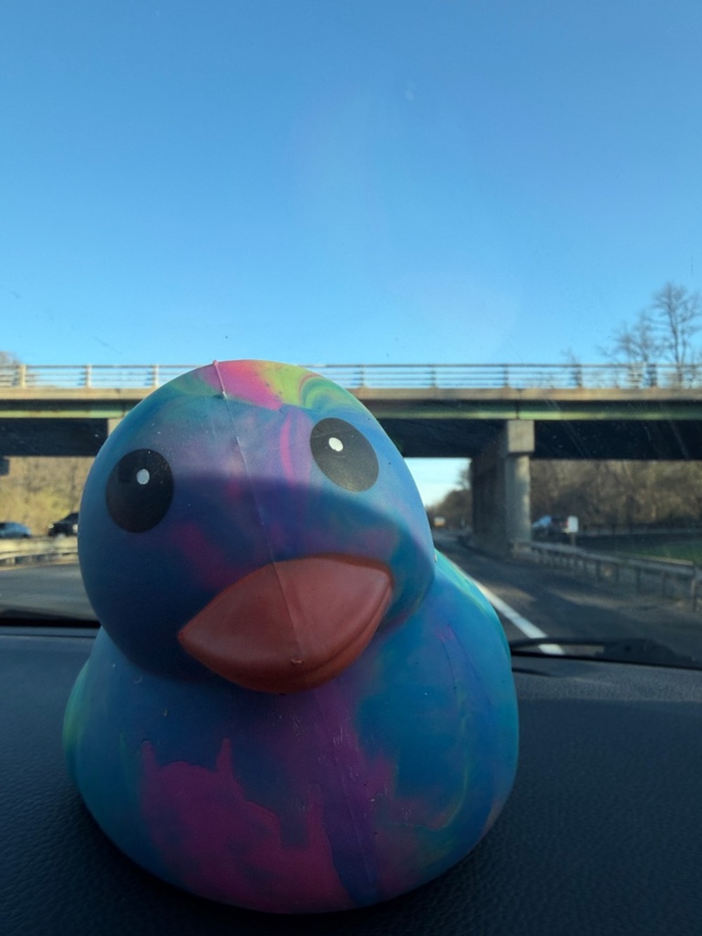 Viral duck Colorful squishy toy
